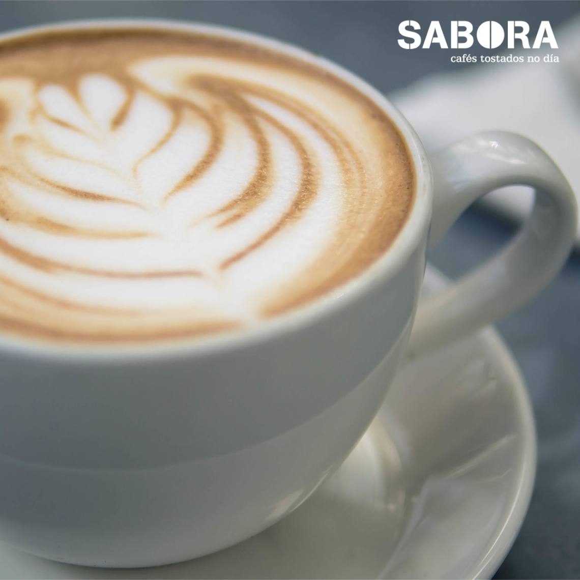 Espuma de la leche: Por qué se forma y en qué afecta a tu café.