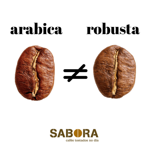 Diferenzas entre o café arábica e o café robusta.